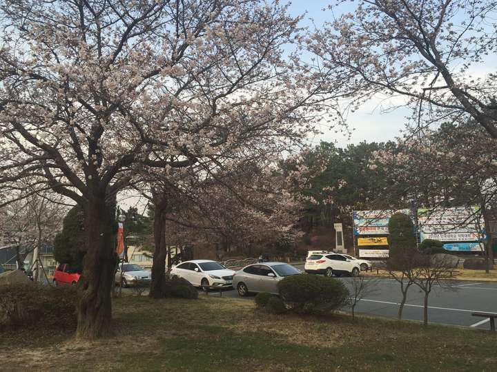 韩国培材大学交换生值不值得去?