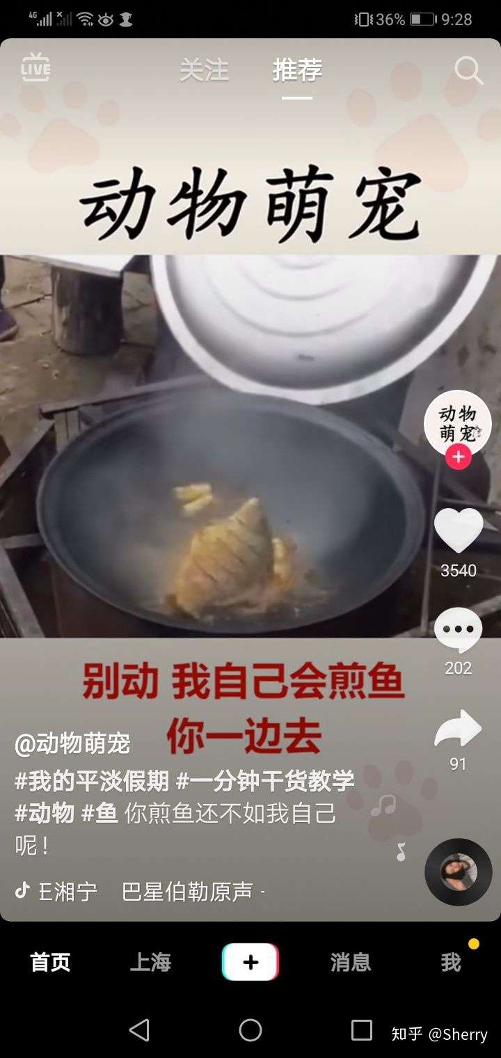 这是一个视频,抖音上看到的,讲的是一条鱼被煎的时候肌肉反射自己跳