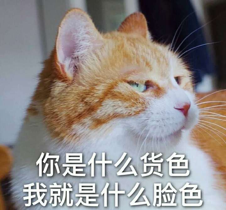 不要动我的娃娃!