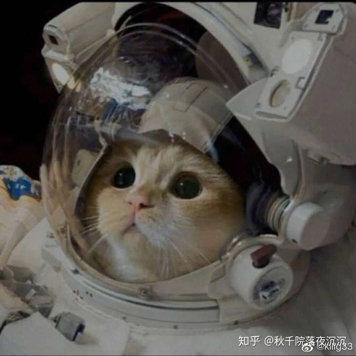 能不能给一些高清的猫咪的头像?