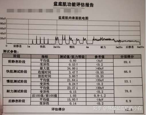 盆底肌评估筛查报告内容解读