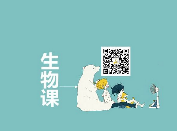 大白课|情到浓处大象也要疯狂啪啪啪 大白课|情到浓处大象也要疯狂啪啪啪