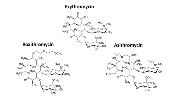 罗红霉素与阿奇霉素有类似的效果(图片来源:参考资料[1])