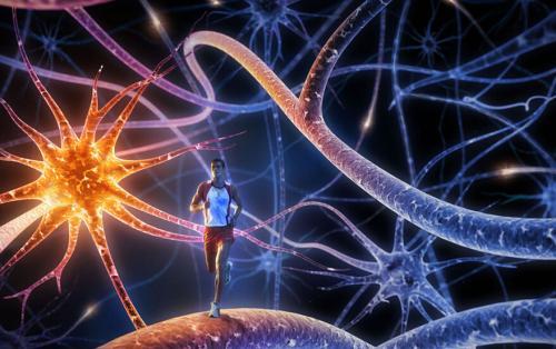 1人赞同了该文章 和睡眠有关的神经递质主要有:腺苷甘丙肽 γ-氨基