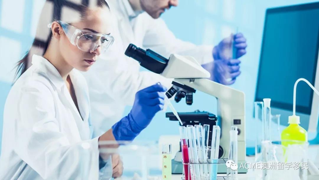 医学实验室科学家就业篇