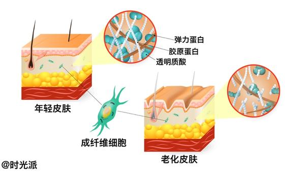 吃糖一口加速变丑皮肤糖化与抗糖饮食