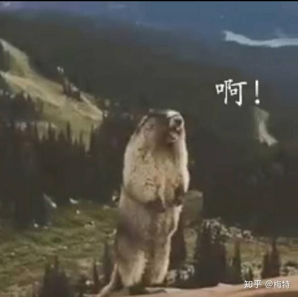 【hp乙女】霍格沃茨的憨憨獾1