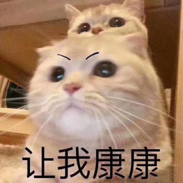 废柴表情包搜罗2020/5/18