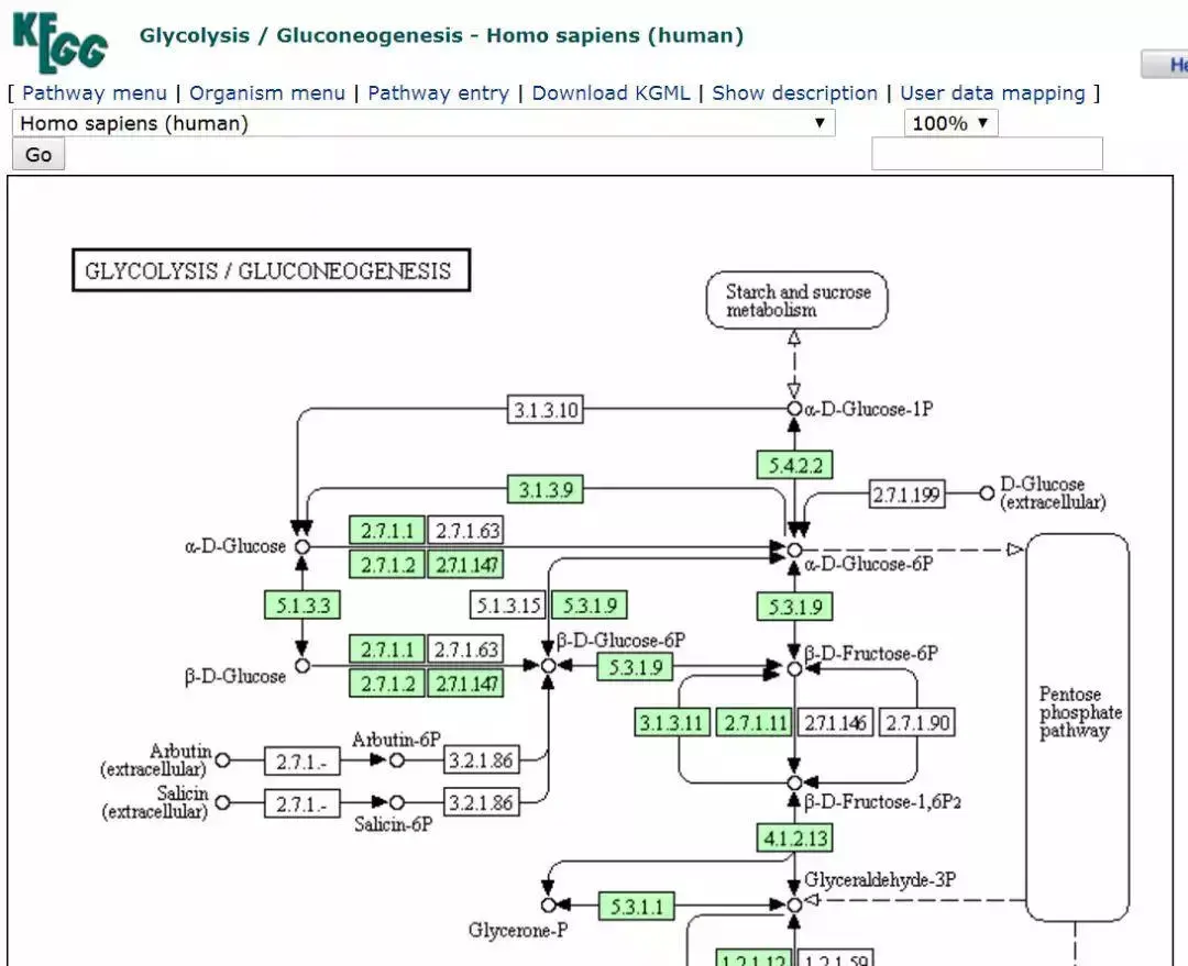 kegg 下载pathway 通路数据