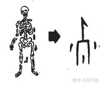 分骨解肉列字汉字与书法写法流变