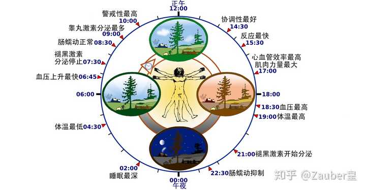 如何每天只睡6小时,还保持一整天都精力充沛?