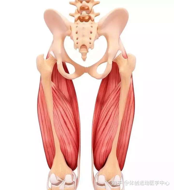 膝盖碰不到胸口是韧带问题还是骨头问题?