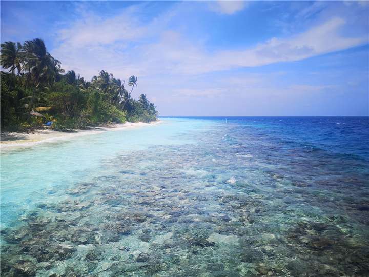 马尔代夫鲁滨逊岛天气马尔代夫鲁滨逊岛浮潜费用位置攻略