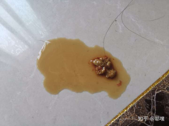 狗瘟拉稀怎么办?