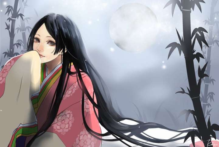 如何评价清水玲子的辉夜姬