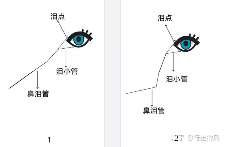 猫咪泪痕导致毛染色怎么办?