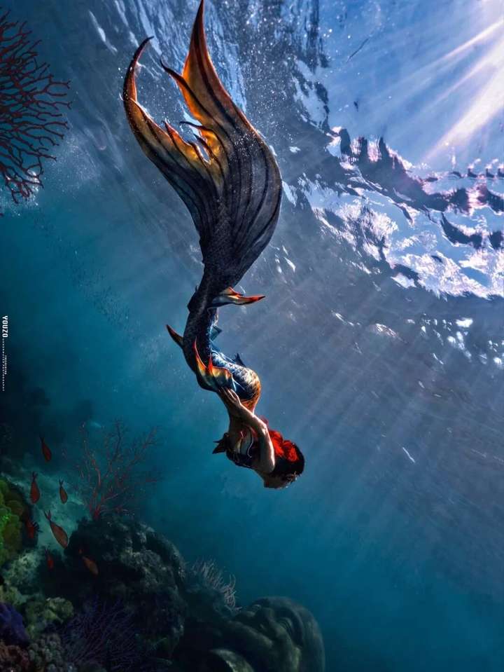 2020年国内最佳海潜地点把假期奉献给它超值得