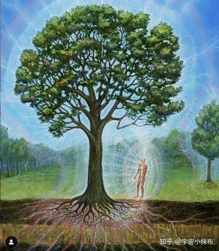 天眼画家alexgrey作品赏析