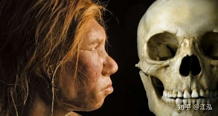 有没有可能尼安德特人比智人更聪明?