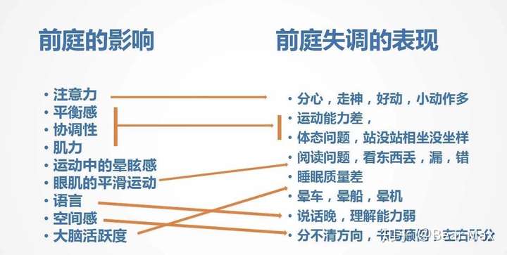 我们先来认识3个重要的感觉通路:前庭觉,本体觉,触觉