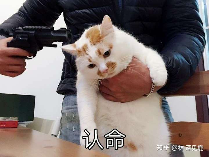 找女朋友是找喜欢的还是合适的?