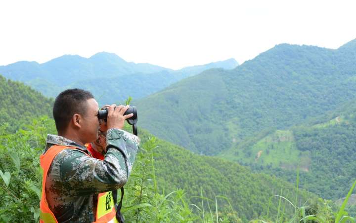 愿做一辈子护林员