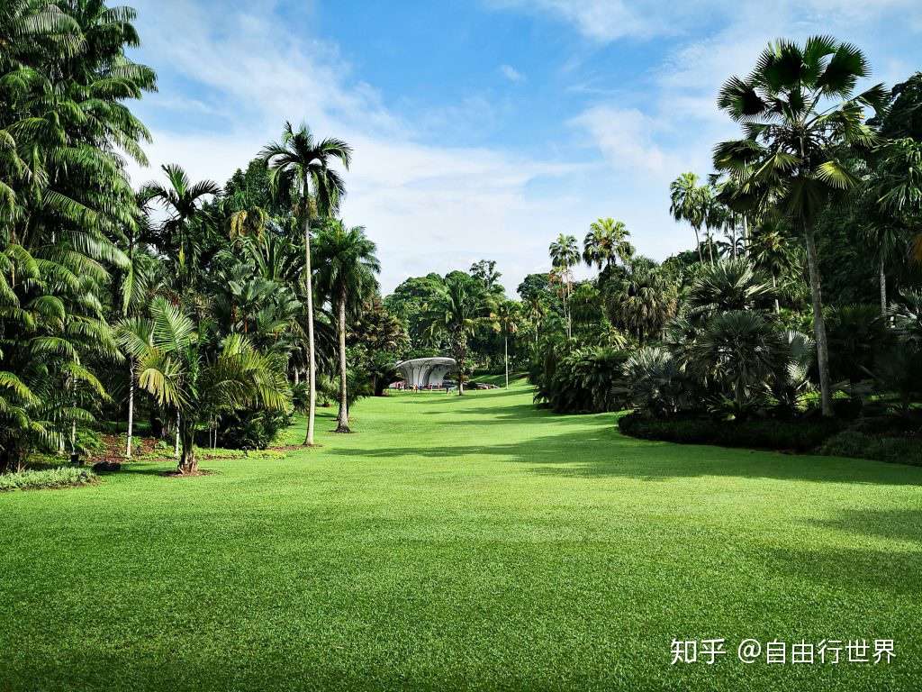 花园城市中的花园 新加坡植物园 知乎