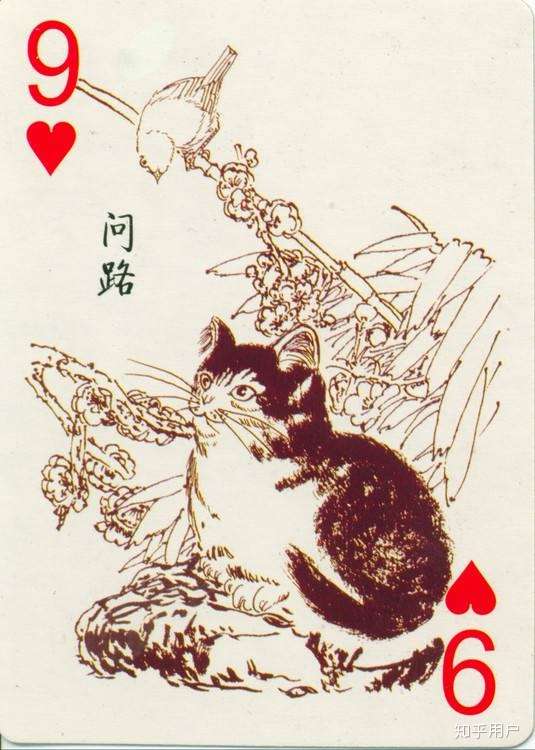 9是九个人 然后以后介绍的时候, 就是这样的名场面 大家好,我是红桃九