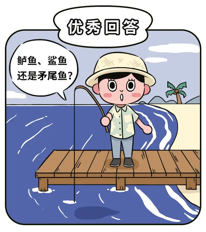 撒网是我的本事入网是你的荣幸什么是养鱼关系