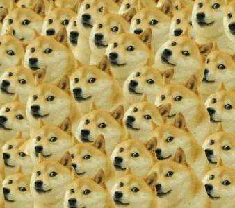 不管现实中还是网络上,2017有哪些你认为极有意思的梗?