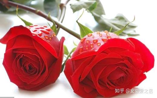 刚加上女生微信怎么聊_女生加了女生微信怎么开始聊天_女的加女的微信啥意思