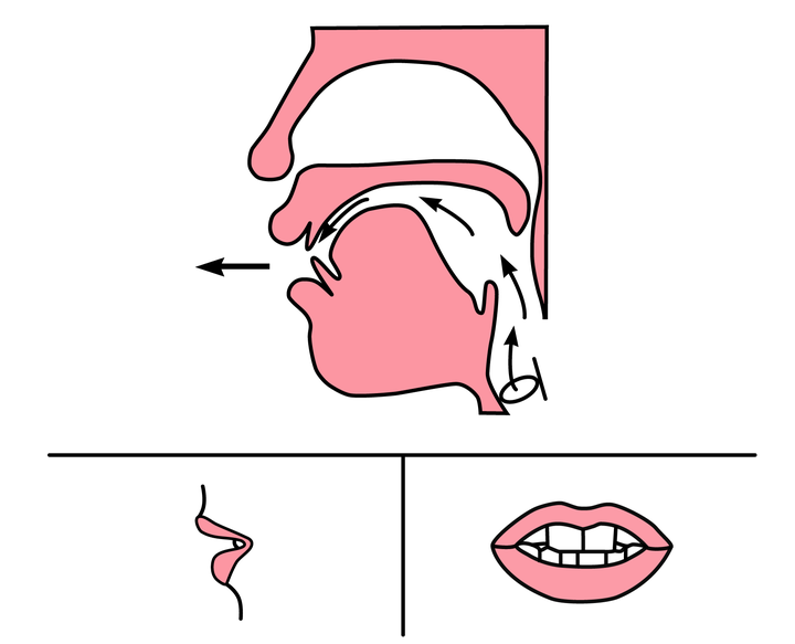 朗朗发音jqx发成zcs到底混淆了什么