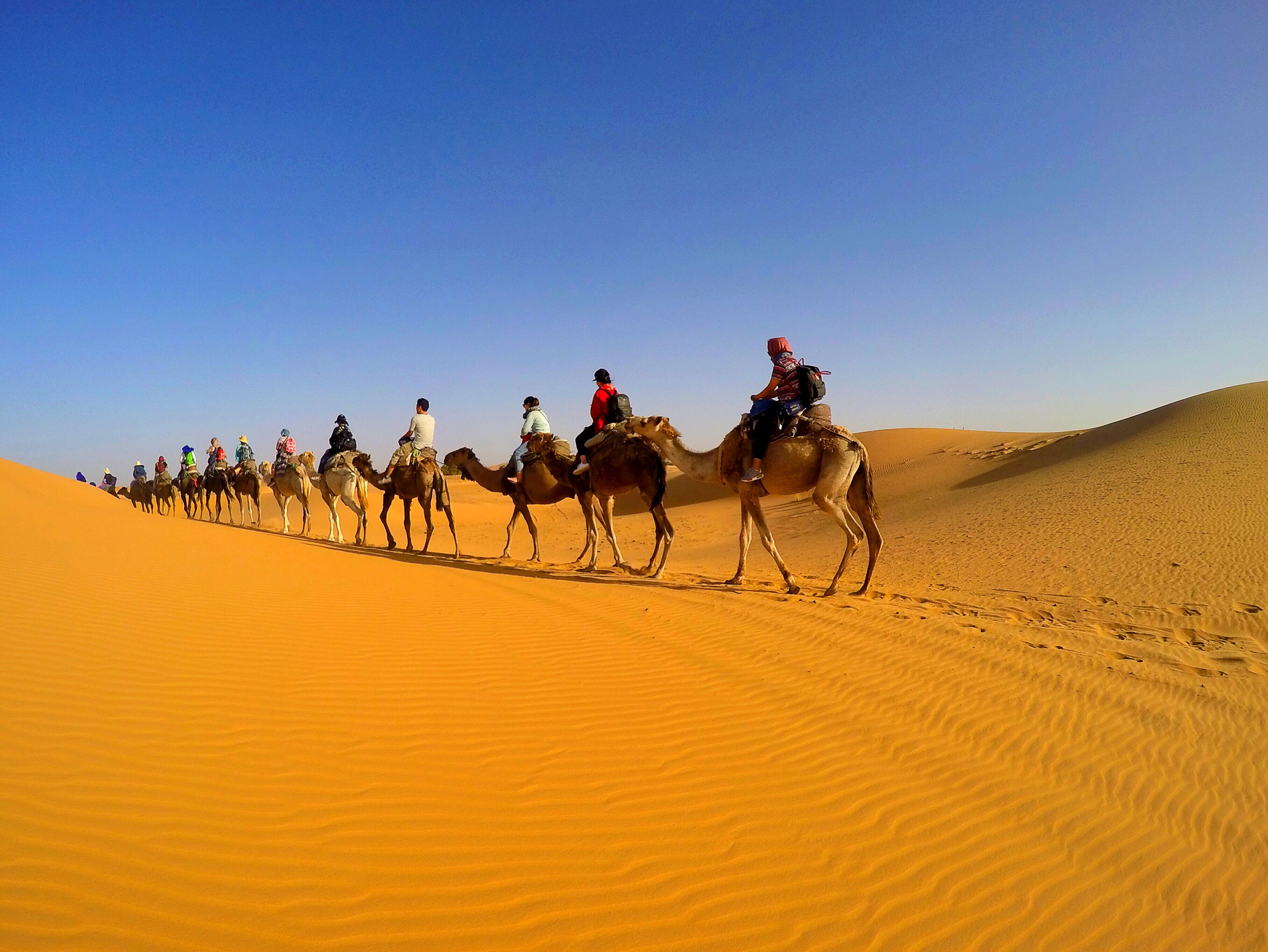 沙漠住一晚 行家帶你遊印度 Pioneer India Tour 客製化印度旅遊