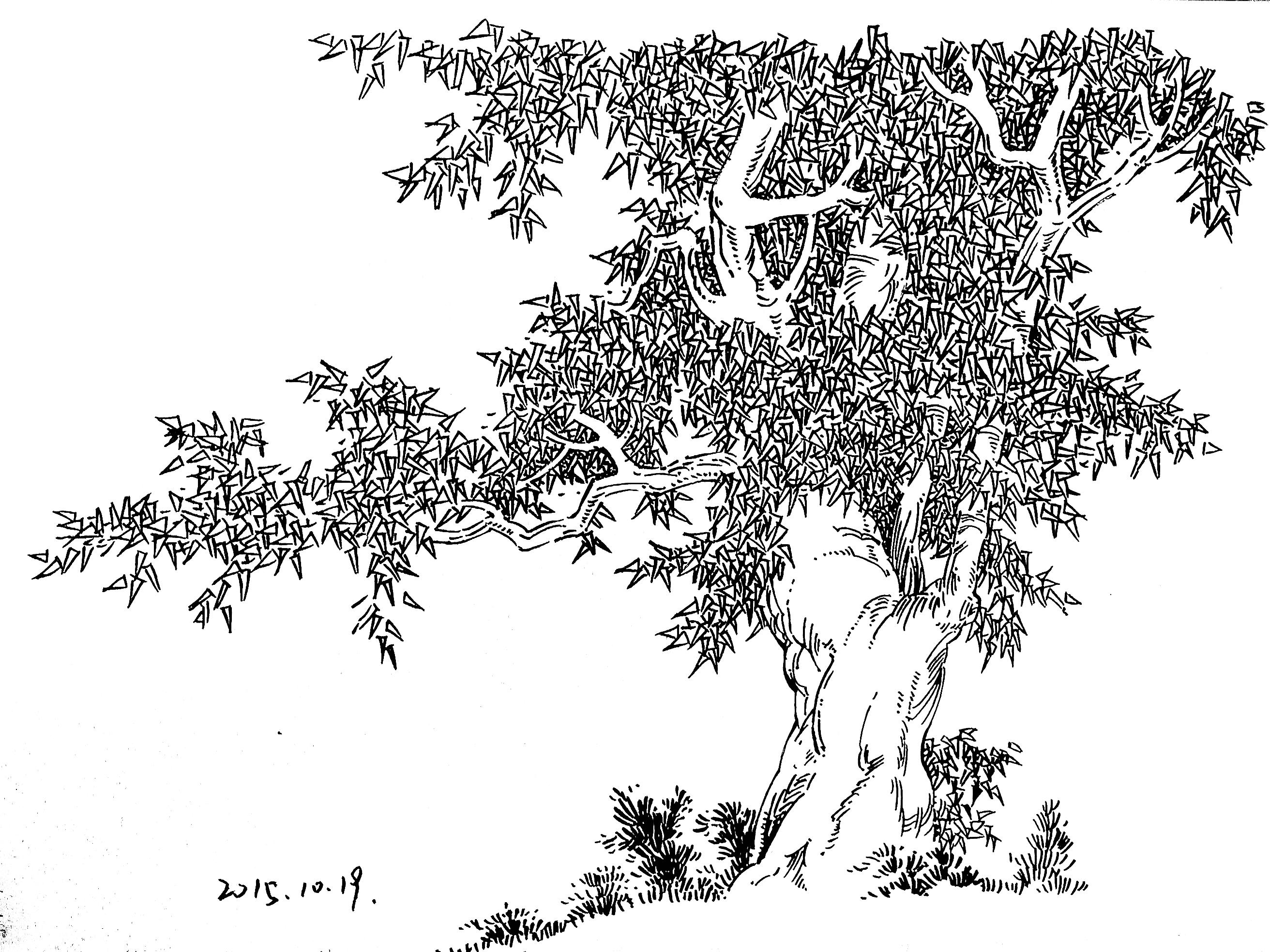 科技想象画作品《神奇的果树》-露西学画画