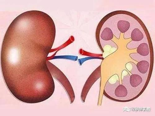 不同類型的過敏性紫癜都去什麼科