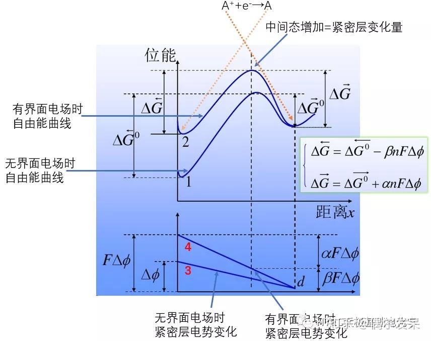 电化学基础之-电子转移动力学（B-V方程） - 知乎