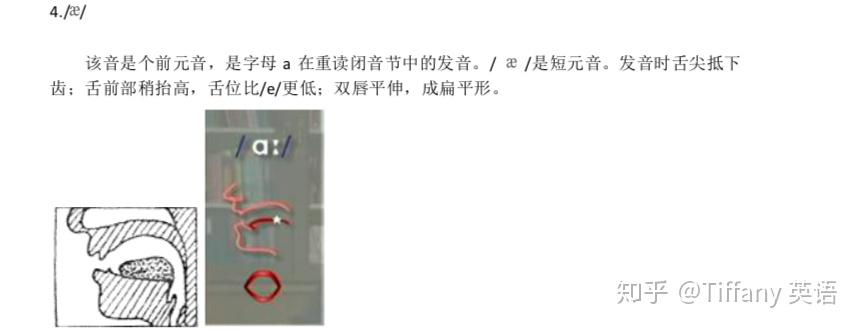 48个国际音标发音舌位图 - 知乎
