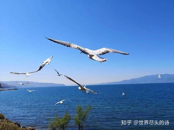 铜湖攻略
