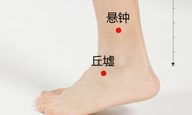 “五脏有疾，当取之十二原”，你了解原穴吗？ - 知乎
