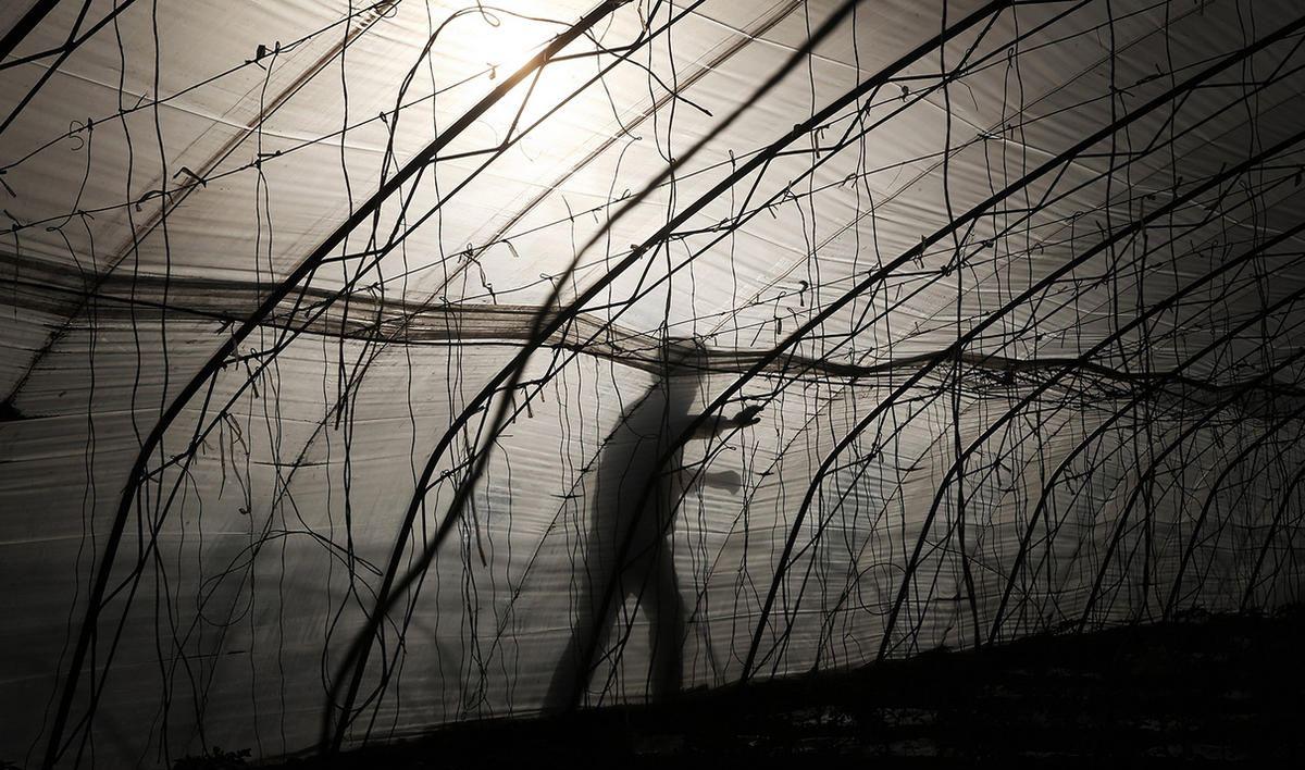 焦虑抑郁与孤独野蛮生长的时代疟疾