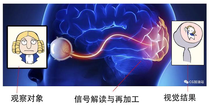 视觉详解:眼见一定为实吗? - 知乎