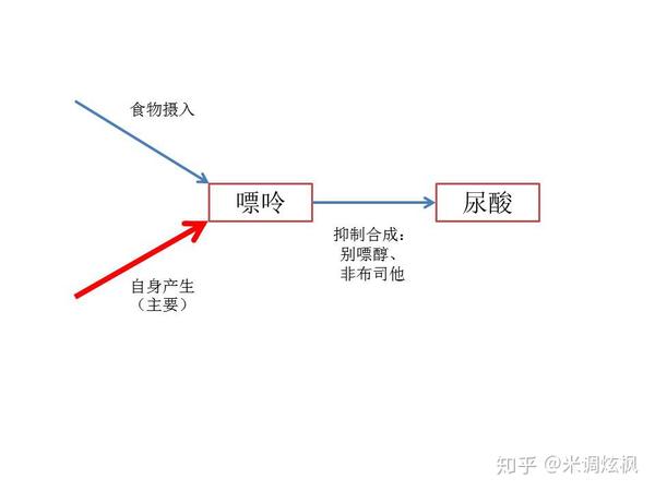 别嘌醇作用机制图片