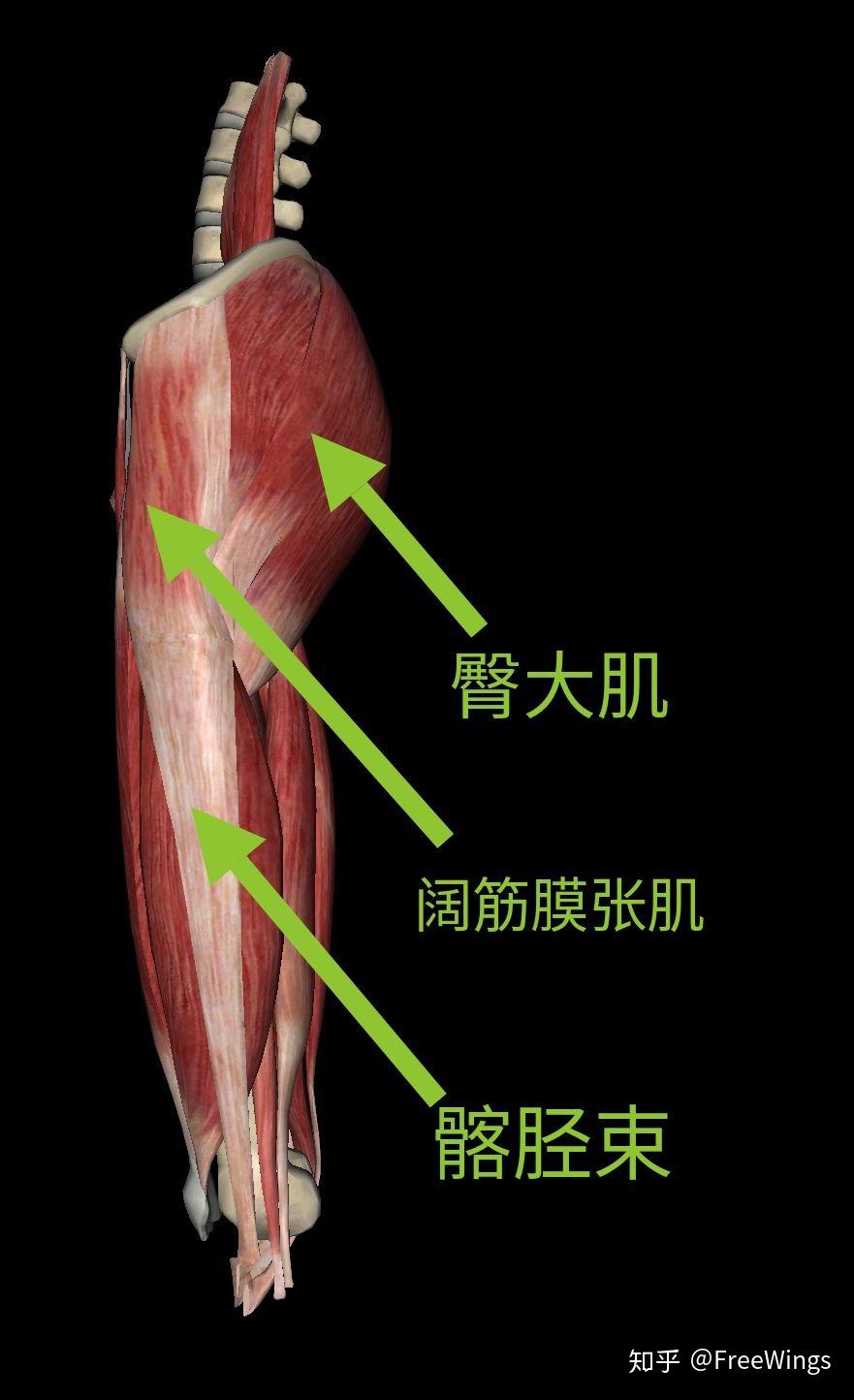 宝马3系混合动力