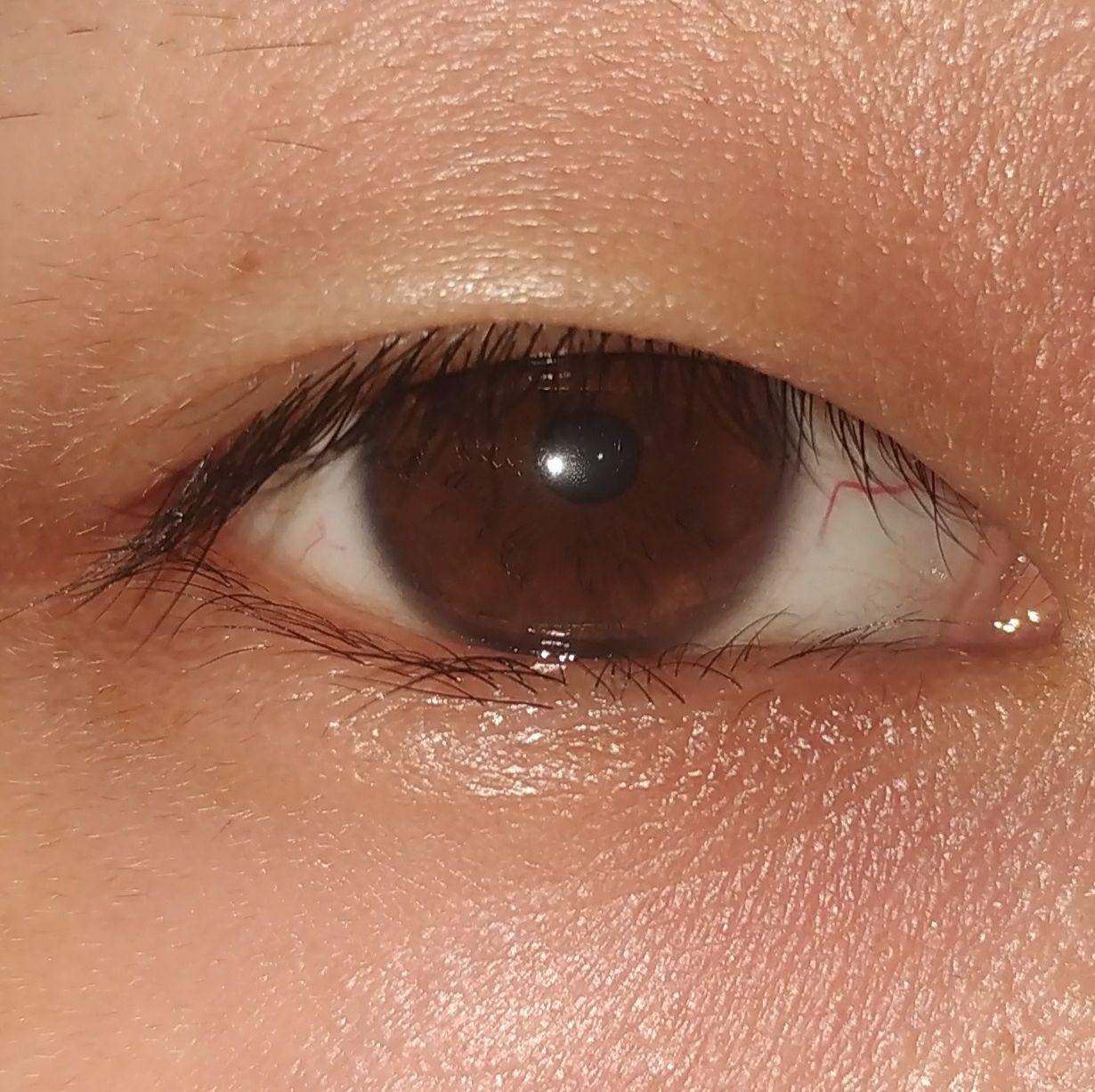 亚洲人的瞳仁只有黑色的吗?为什么欧洲国家眼睛的颜色那么多变?