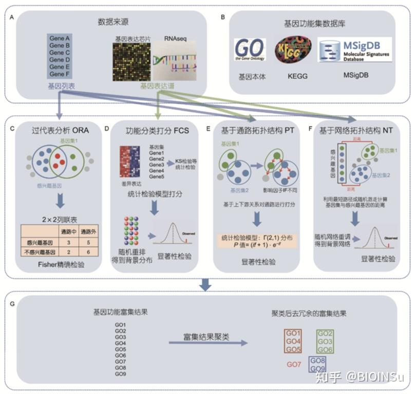 基因富集分析|理解 - 知乎