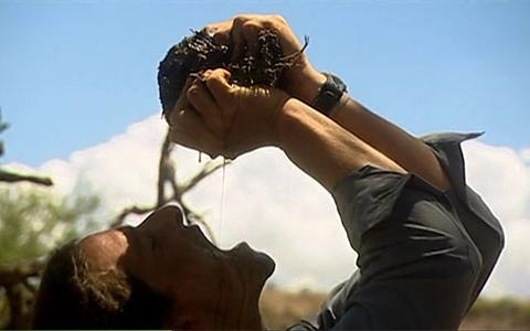 贝爷的捕食合集!