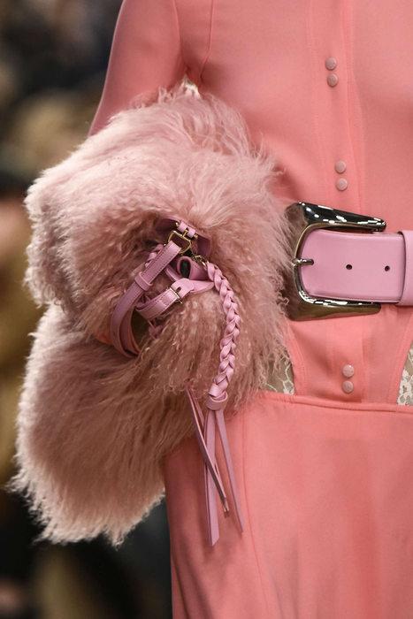 pinkflamingo火烈鸟粉动物界的时尚网红暖化了老夫的少女心