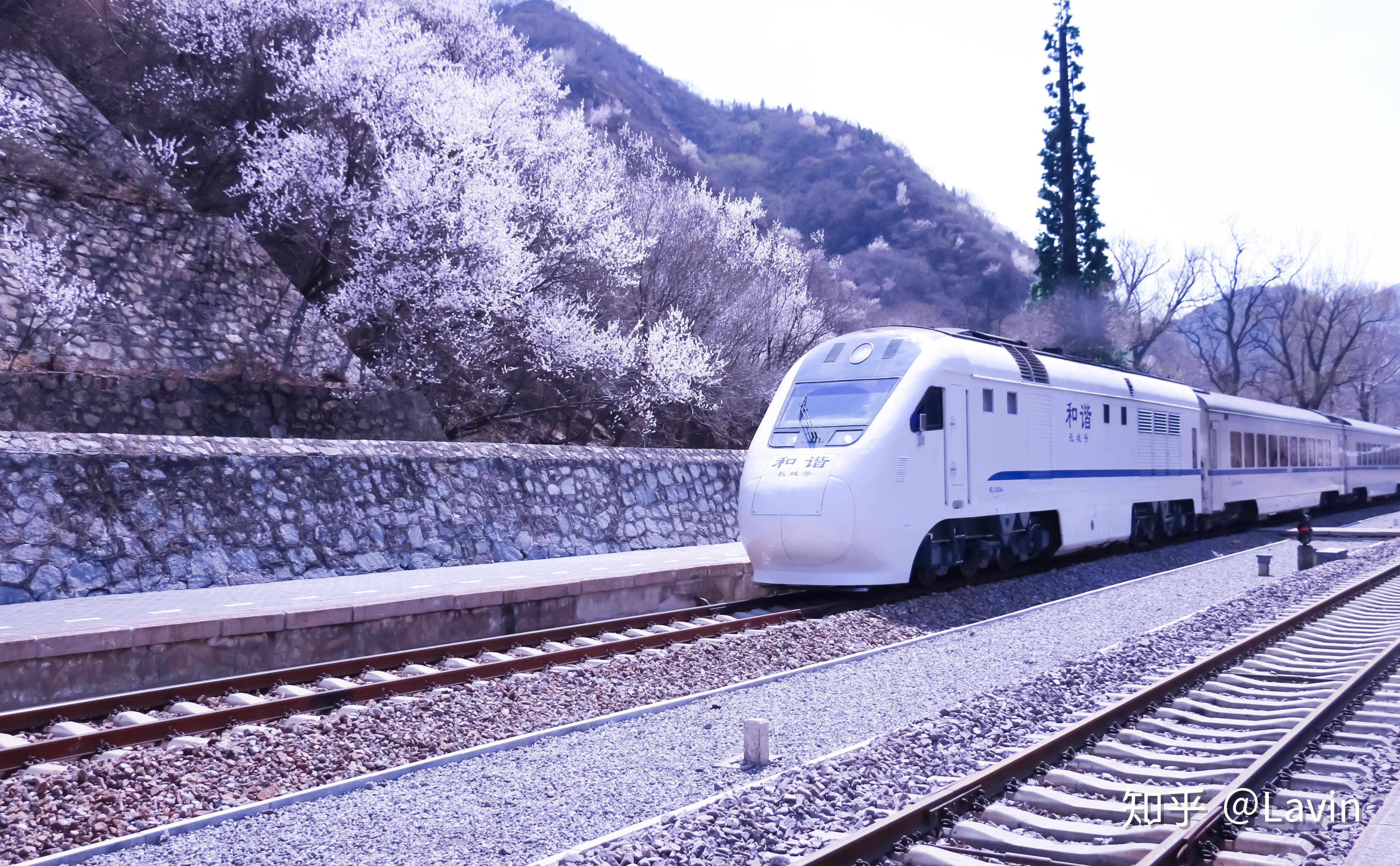 “开往春天的列车”你还记得吗？花海与列车的邂逅，清明时节成就北京最唯美的视野-北京旅游攻略-游记-去哪儿攻略