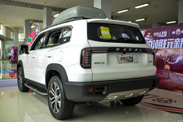 这只狗有些大贵阳孟关到店实拍哈弗大狗