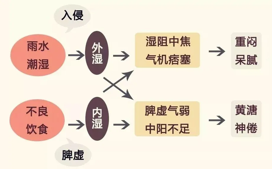湿气重的人怎么排湿？这些你需要了解！ - 知乎